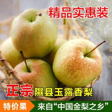 【山西特产】隰县玉露香梨 精品特大果 8斤装 脆甜多汁梨子 当季新鲜水果