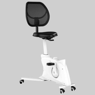 乐歌升降可移动家用健身车骑行运动车娱乐健身椅V2T