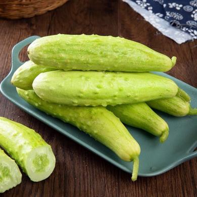 【山东特产】HUAPU 山东海阳白玉黄瓜4-4.5斤新鲜水果小黄瓜蔬菜