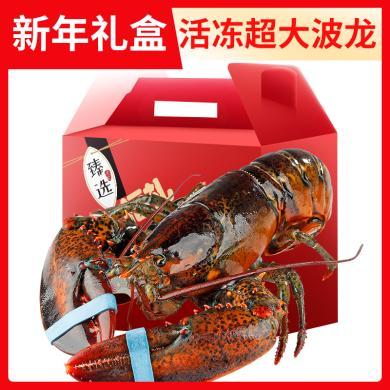 【崇鲜】鲜冻进口加拿大波士顿龙虾1斤-3.5斤超大波龙皇帝蟹螃蟹大龙虾（规格可选10%失水率）