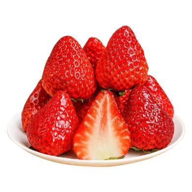 【顺丰包邮】辽宁特产 丹东99草莓1.8斤装中果30-35g 新鲜水果礼盒装 个大饱满  -GA
