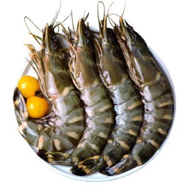 【崇鲜】越南黑虎虾净重800g/盒10只（长约20-22cm/只）冷冻海鲜大虾礼盒装送礼