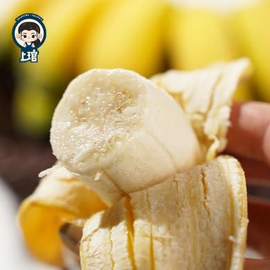 福建漳州小胖蕉新鲜水果4.5斤 实惠装