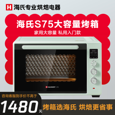 海氏（Hauswirt）75升大容量S75专业级 电烤箱 家用 商用 烘焙多功能平炉发酵箱 湖水绿 75L