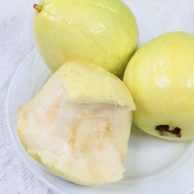 【福建特产 】奶油芭乐3斤彩箱装（白心/红心可选）新鲜水果潘石榴香甜可口