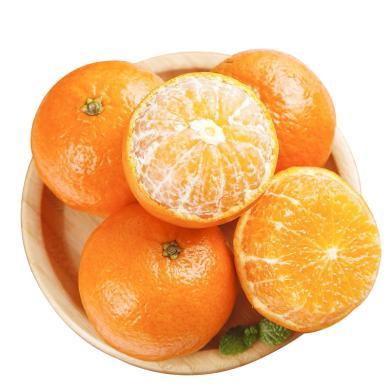 云南大理高原沃柑 新鲜水果  酸甜可口 柑橘