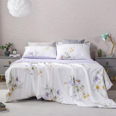 雅兰（AIRLAND）家纺 床上四件套纯棉100%四季通用床单被套 双人加大 1米8床适用 采薇四件套