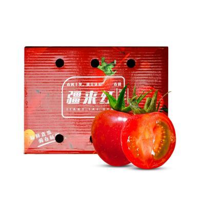 【新疆特产】春桃番茄净重约3斤 单果重量15g-25g 礼盒装 新鲜水果自然熟西红柿 水果新鲜-YQ