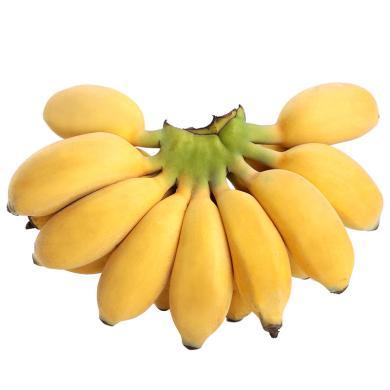 福建苹果蕉  香蕉水果 自然催熟