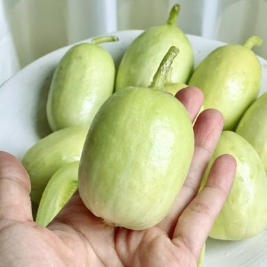 【山东特产】HUAPU 山东玉女小黄瓜4斤新鲜蔬果黄瓜产地直发