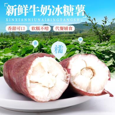 【山东特产】HUAPU 山东牛奶冰糖薯4.5斤粗粮地瓜白薯蜜薯产地直发