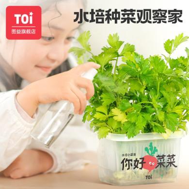 【TOI图益】你好菜菜水培种植观察儿童阳光种植科学小实验儿童观察盒3