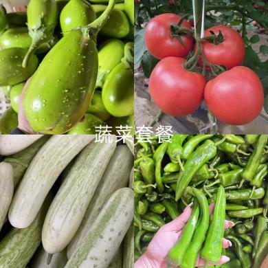 睿上品 蔬菜套餐5斤装 农家当季青椒西红柿瓜类混搭 新鲜蔬菜发货