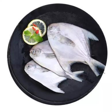 三都港 冷冻东海银鲳鱼450g（3条装）