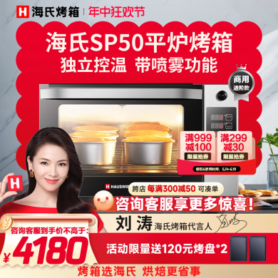 海氏（Hauswirt）58升平炉烤箱SP50商用私房平炉烤箱蒸汽大容量家用蛋糕烘焙电烤箱 58L大容量
