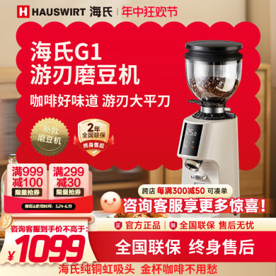 海氏（Hauswirt）G1游刃咖啡磨豆机电动意式咖啡豆研磨机磨粉机家商用 银色