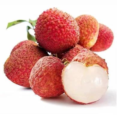 【广东特产】高州白糖罂荔枝4.5斤 泡沫箱新鲜水果
