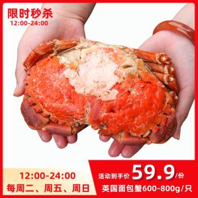 【惊喜福利】熟冻面包蟹600-800g/只  鲜活即食英国面包螃蟹发财蟹黄金蟹预制菜快手菜