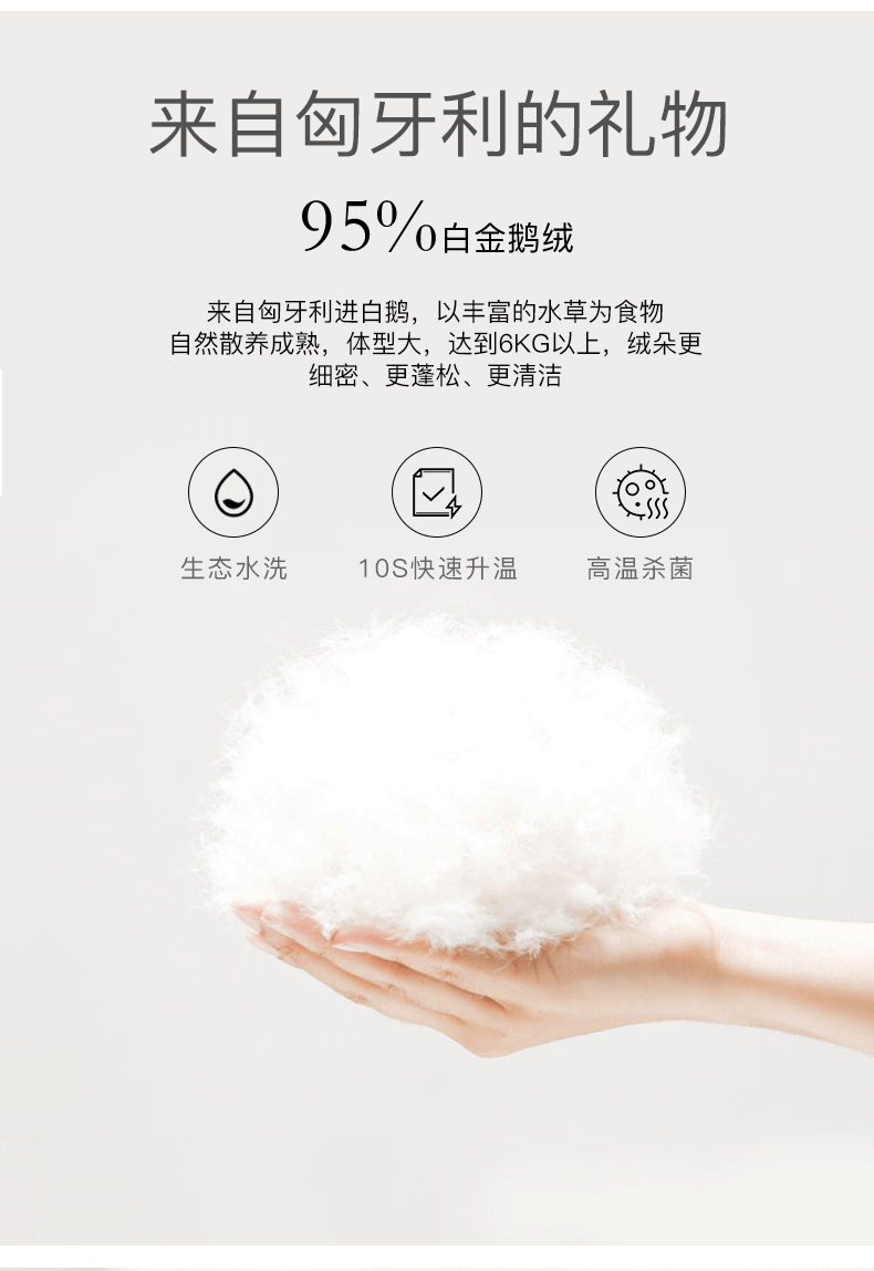 esteem/宜庭 五星抗污全棉鹅绒冬被