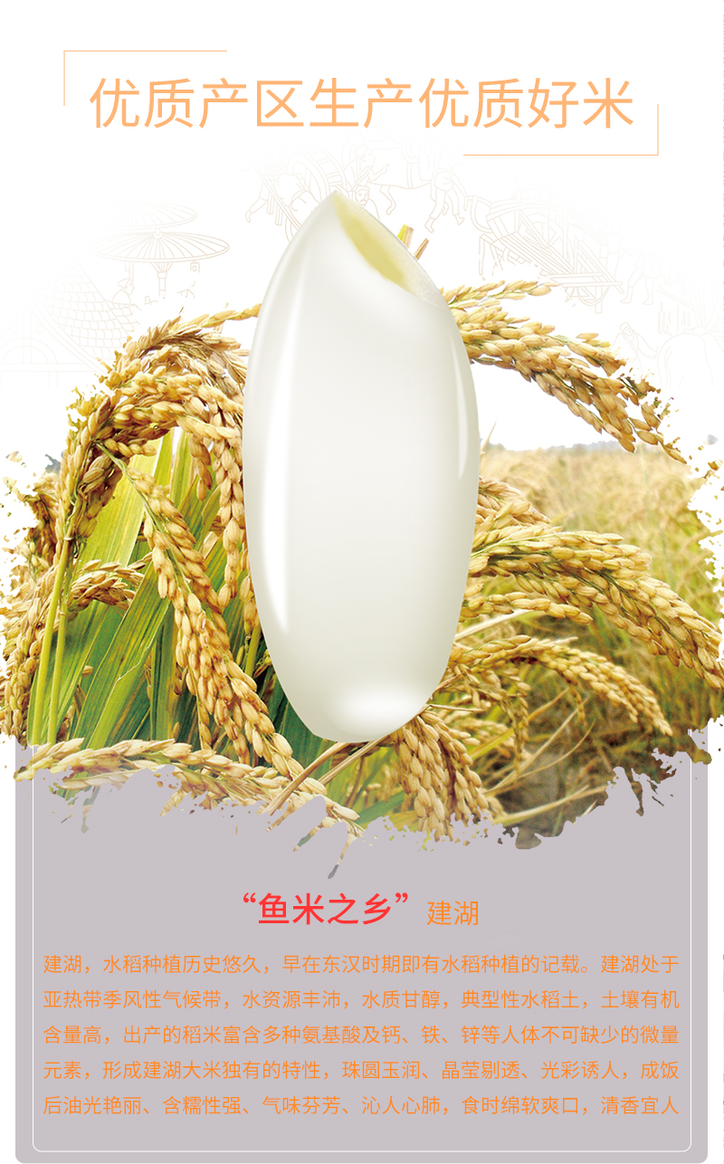 北大荒软香丝苗米5kg(广东包邮)【价格 评价 图片】- - 天虹