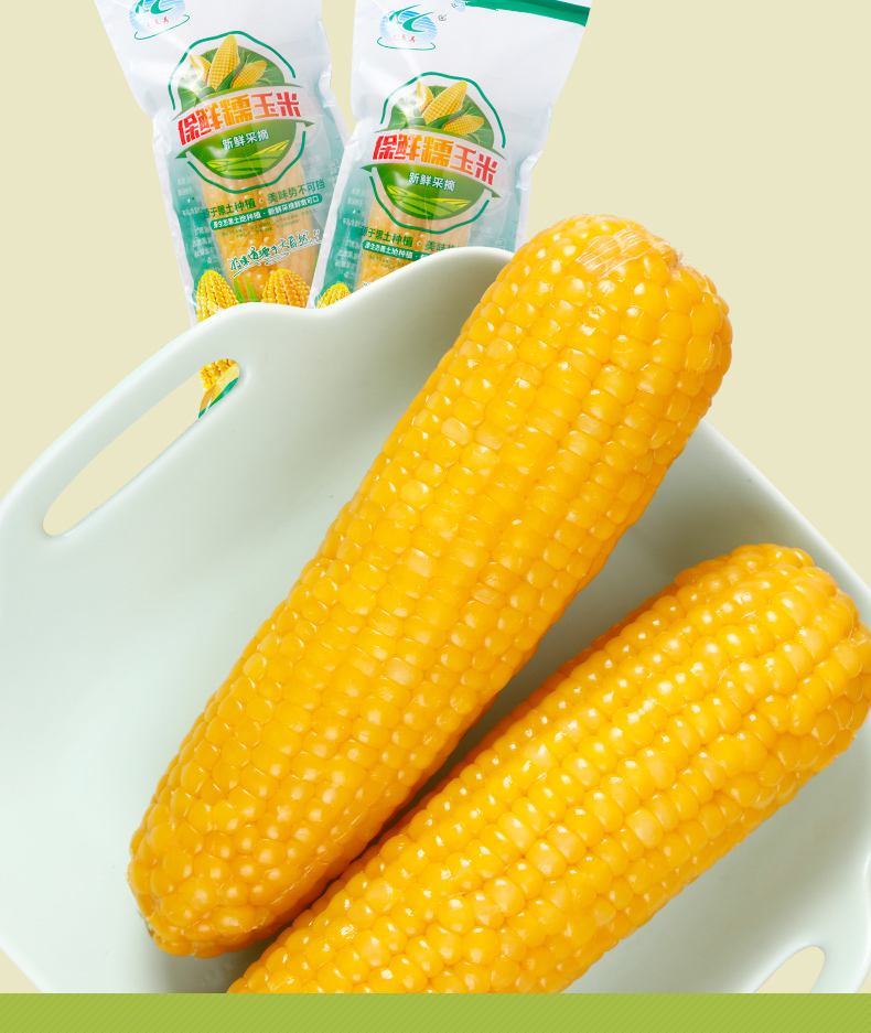 龙华329玉米品种图片