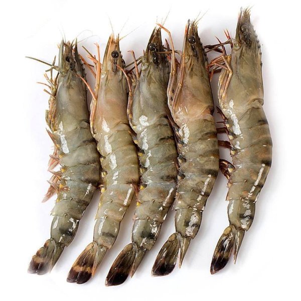 崇鲜越南进口黑虎虾700g/盒16-18只冷冻海鲜大虾