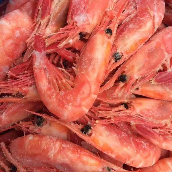 崇鲜 俄罗斯带籽北极虾甜虾大号刺身 新鲜活冷生吃即食寿司甜虾1000g