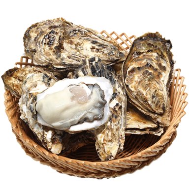 顺丰包邮崇鲜新鲜生蚝25kg鲜活乳山生蚝即食鲜活带壳生蚝烧烤食材2002