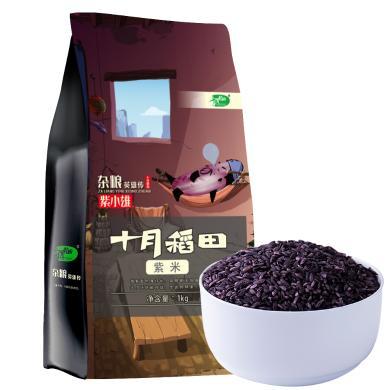 十月稻田 紫米1kg 五谷杂粮紫糯米 紫米黑米大米伴侣真空装 杂粮