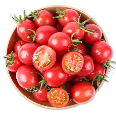 【山东特产】HUAPU 山东千禧果圣女果3斤/4.5斤新鲜水果小番茄产地直发