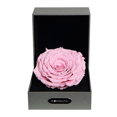 经典粉-粉色永生玫瑰1枝:厄瓜多尔进口巨型玫瑰送女朋友创意礼物生日礼物