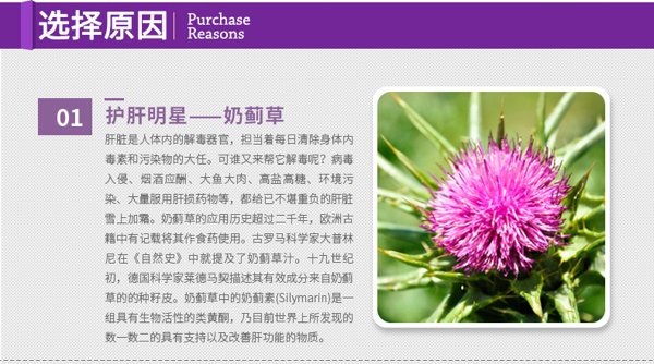 【2瓶装】webber naturals伟博护肝配方含奶蓟草(65粒)